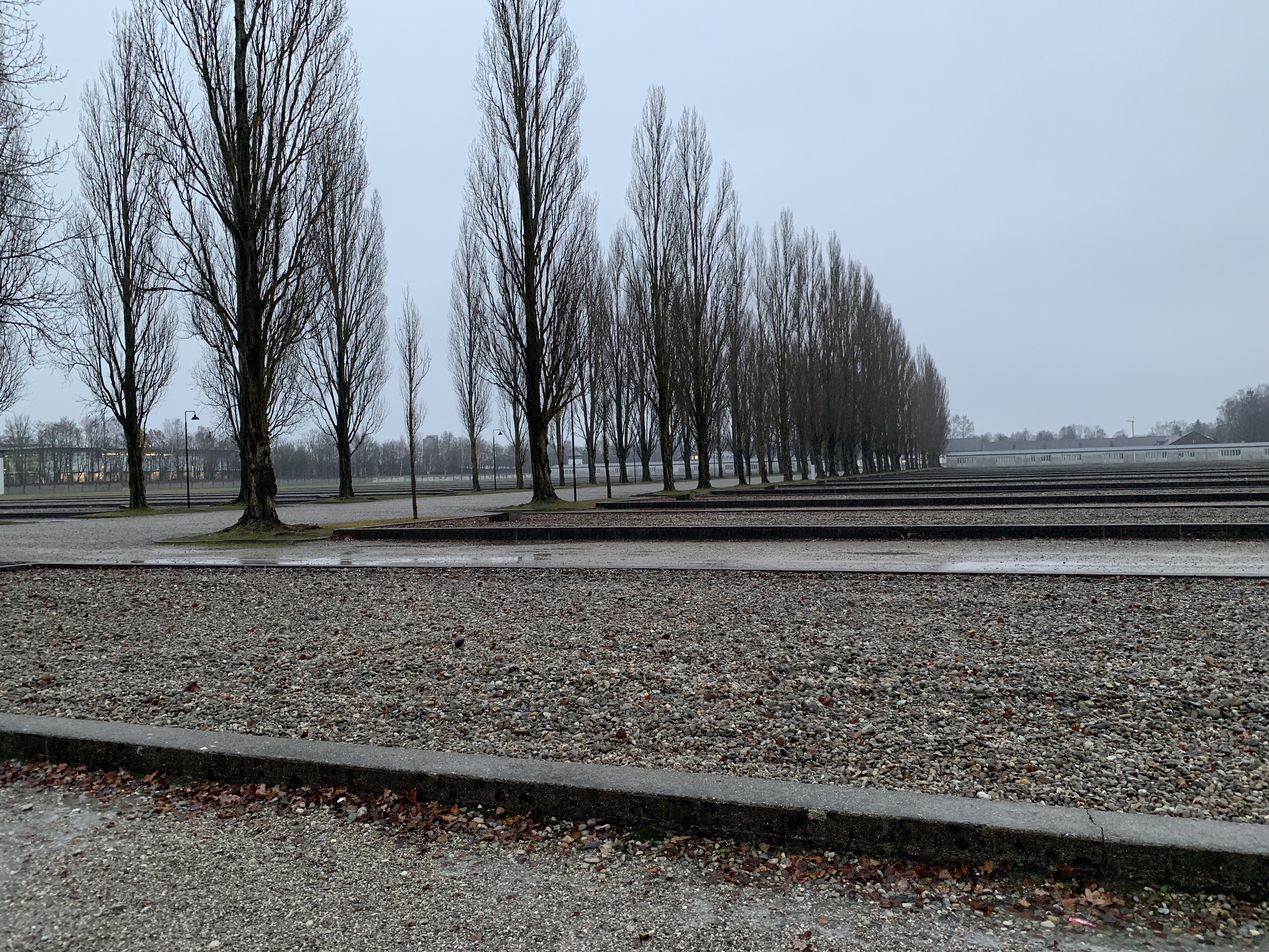 6zMcqKuWQZ6I6TSkKljG4g