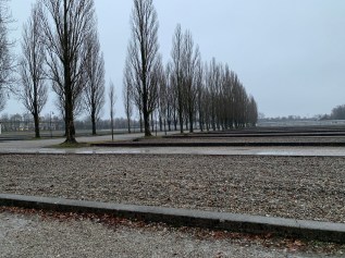 6zMcqKuWQZ6I6TSkKljG4g