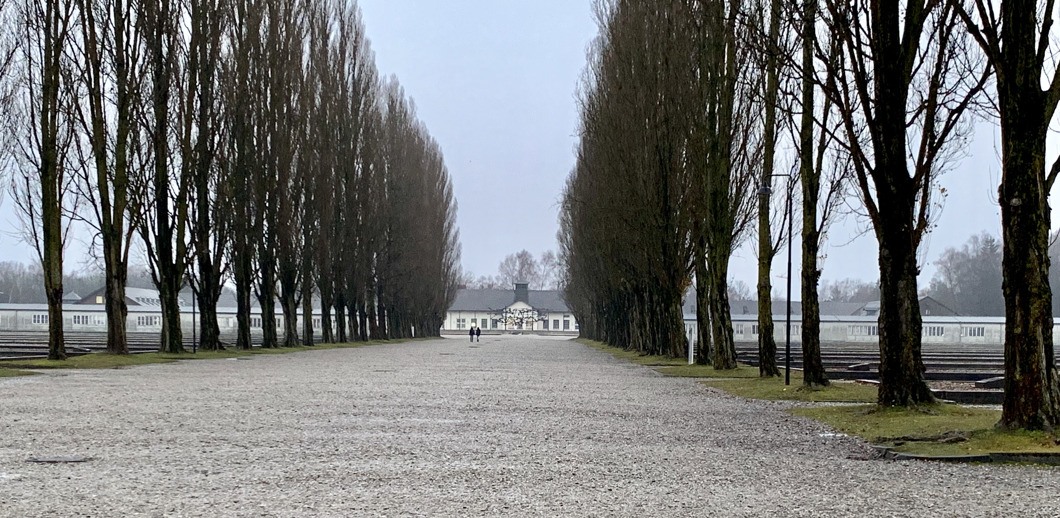 fullsizeoutput_16e97