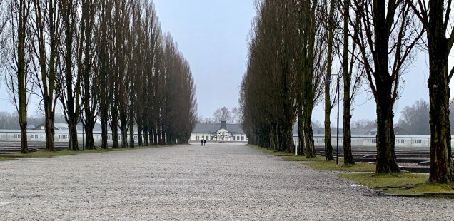 fullsizeoutput_16e97