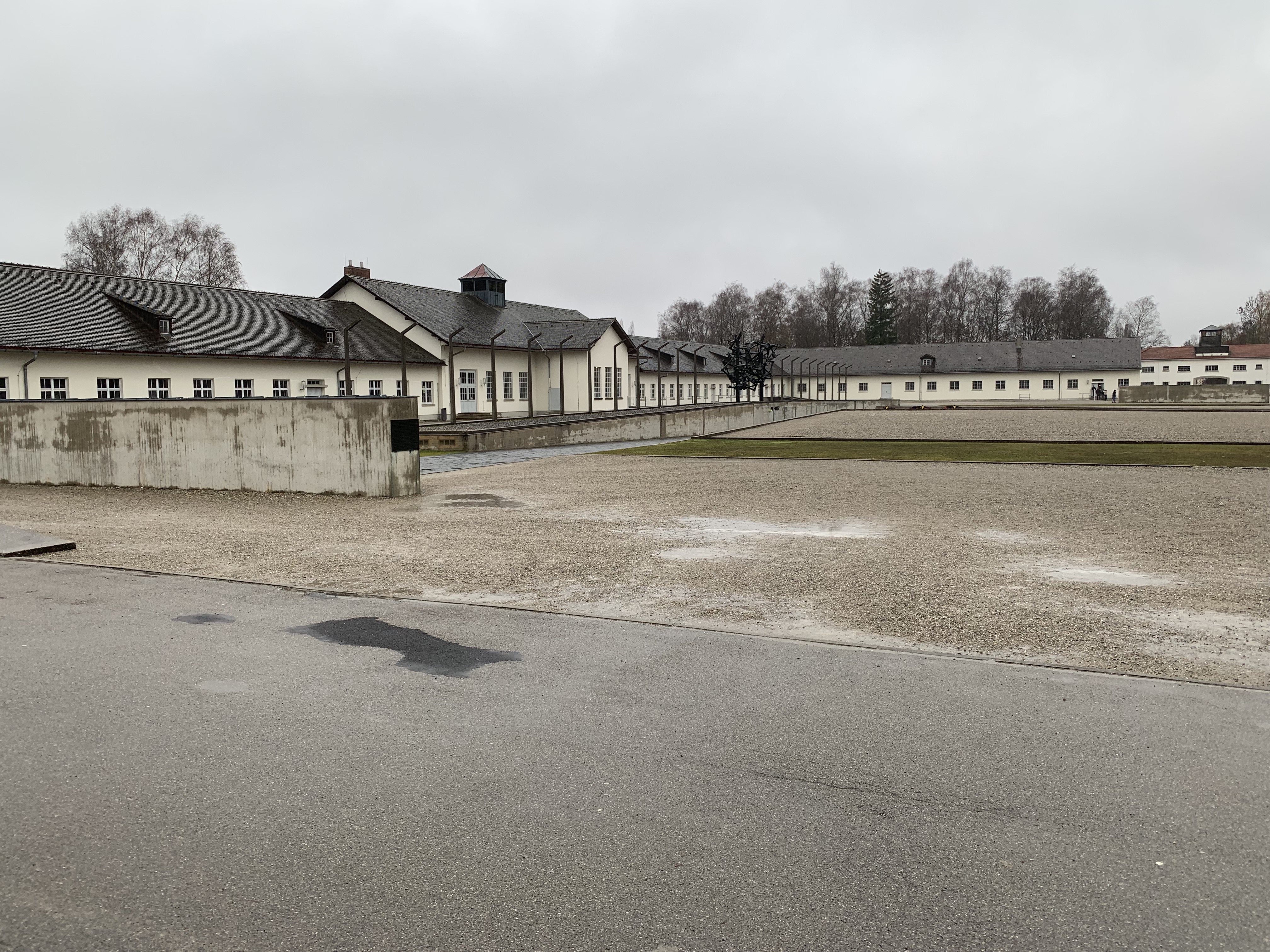 sK1oRJJWQBSI5wJ1MxXdiQ